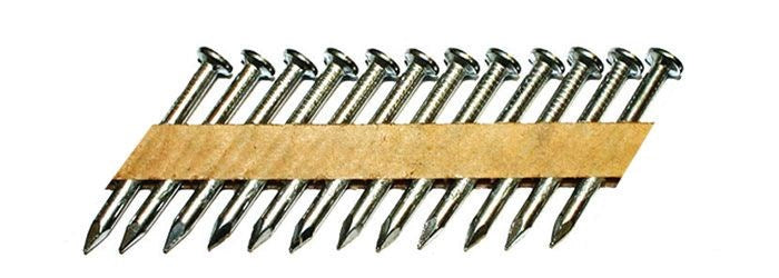 JOIST HANGER NAILS 36MM X 3.3 SCREW SHANK HOT DIP GAL - Toolup Australia