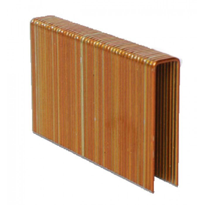 BCS4 FLOORING STAPLES 38MM LONG - Toolup Australia